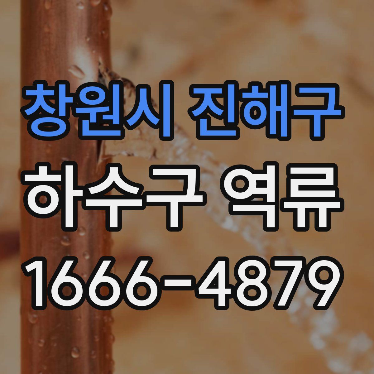 창원시 진해구 하수구 역류
