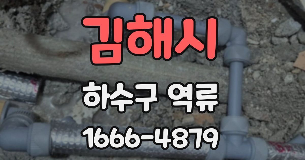 김해시 하수구 역류