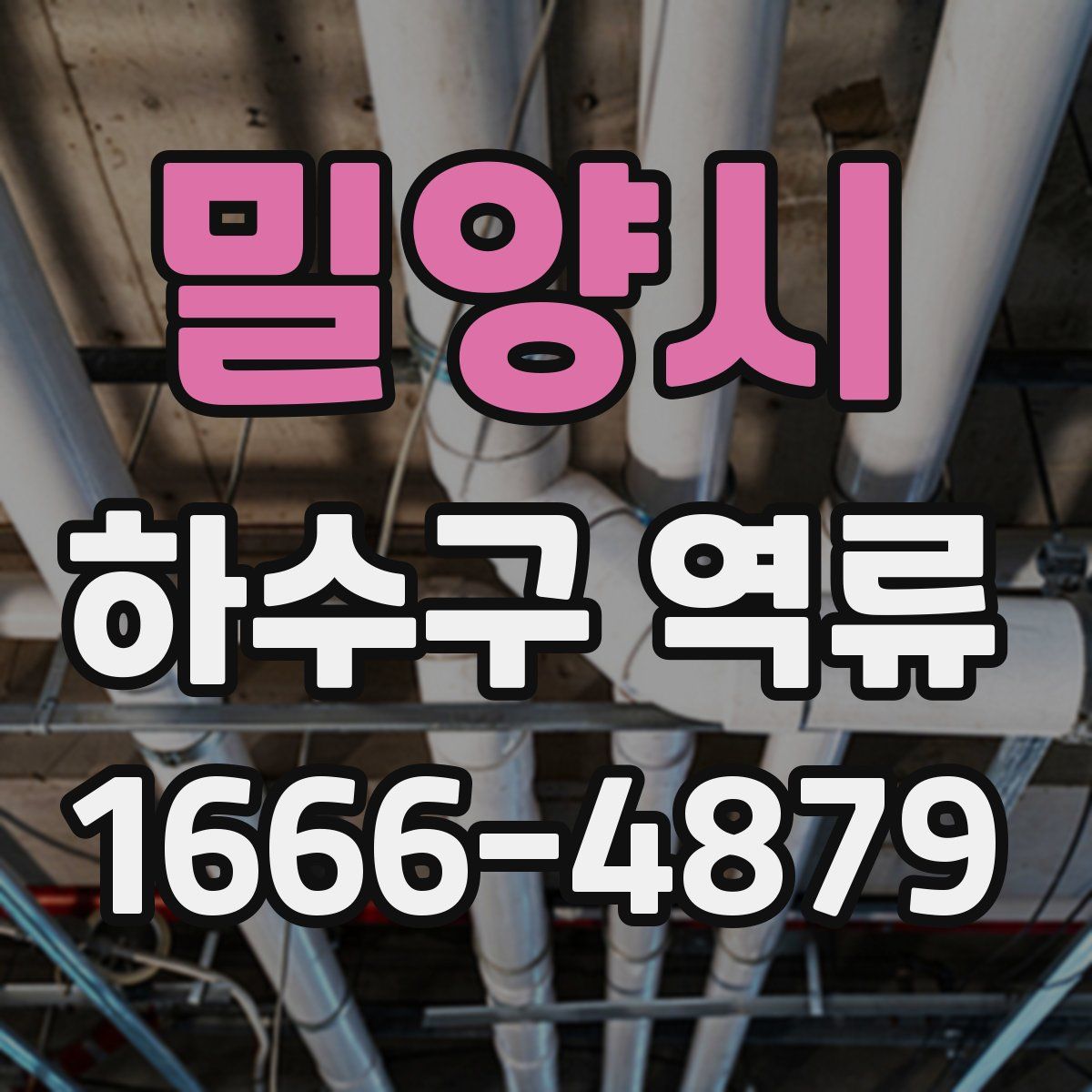 밀양시 하수구 역류