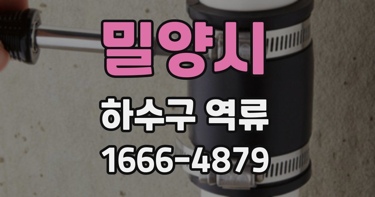 밀양시 하수구 역류