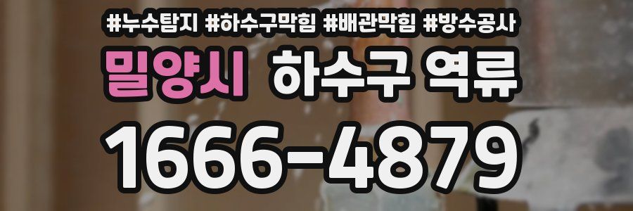 밀양시 하수구 역류