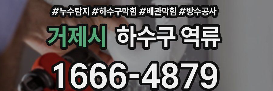 거제시 하수구 역류