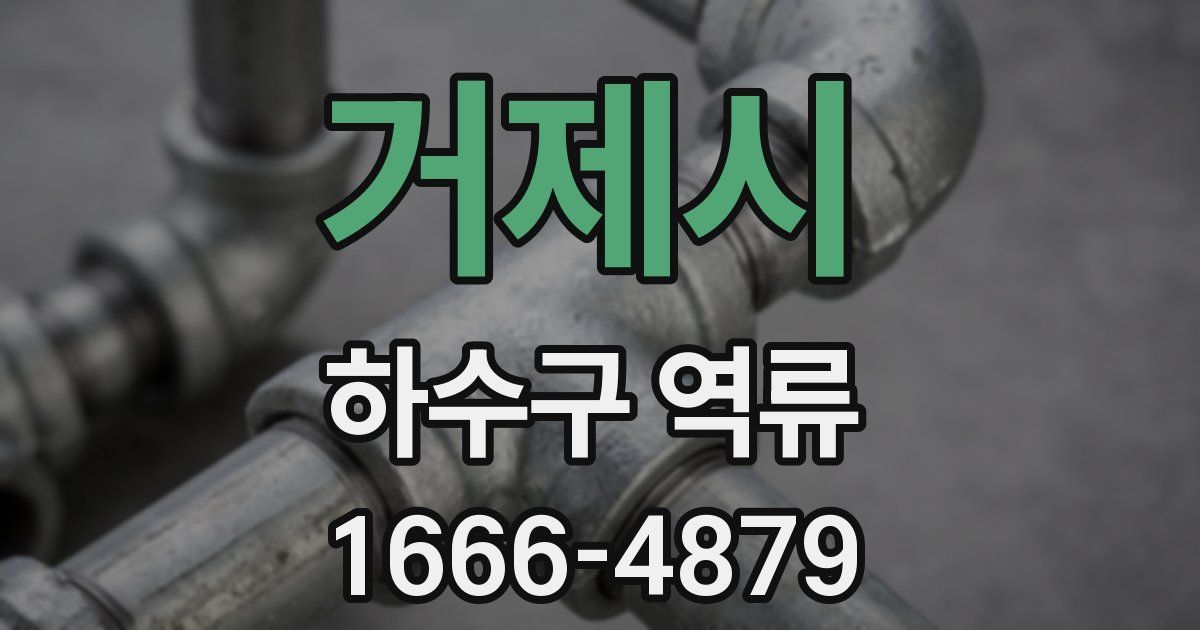 거제시 하수구 역류