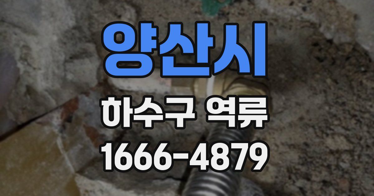 양산시 하수구 역류