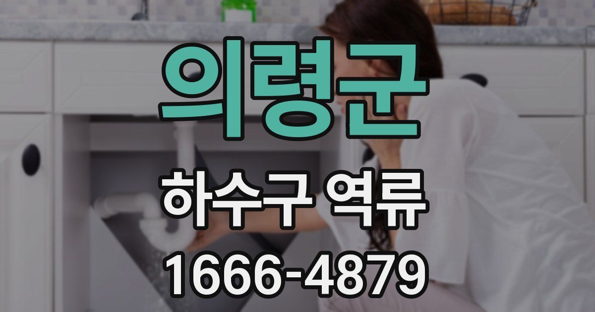의령군 하수구 역류