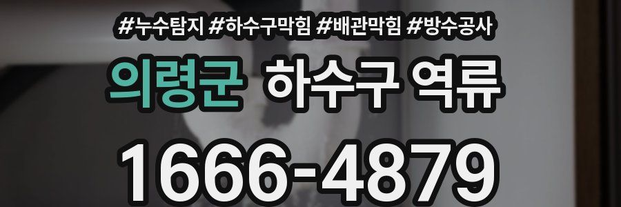 의령군 하수구 역류