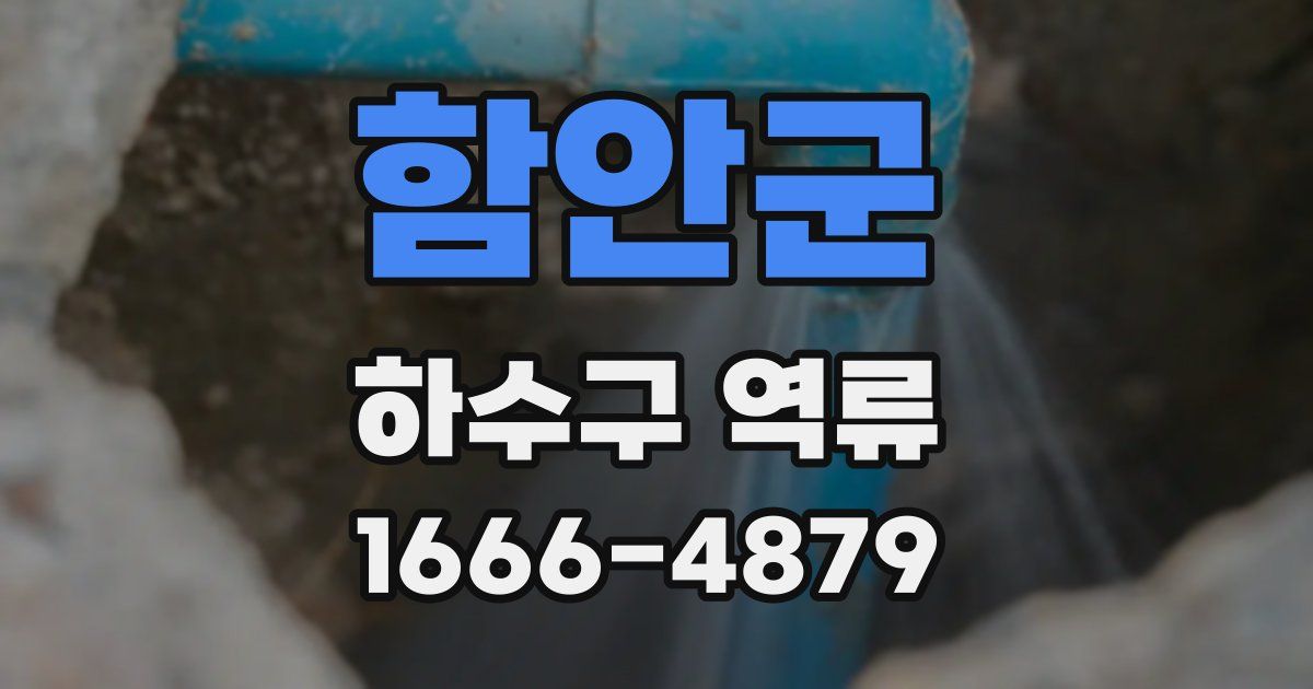 함안군 하수구 역류