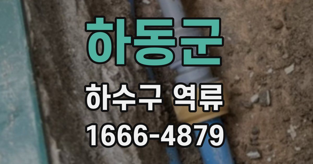 하동군 하수구 역류