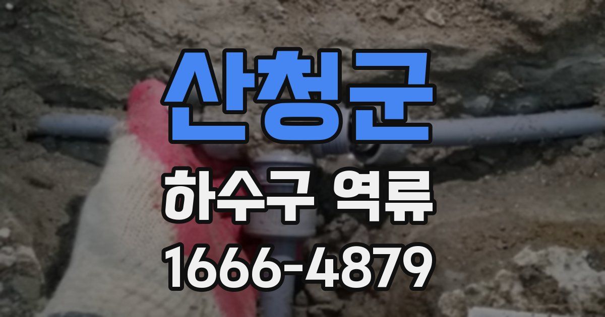 산청군 하수구 역류