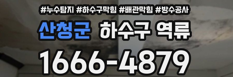산청군 하수구 역류
