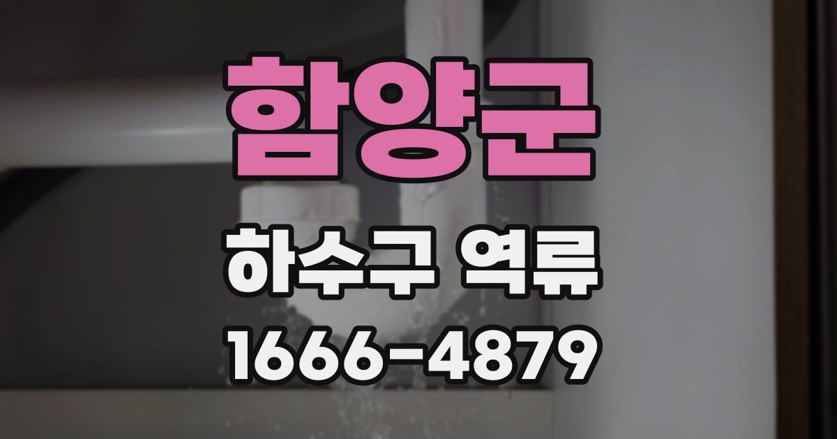 함양군 하수구 역류