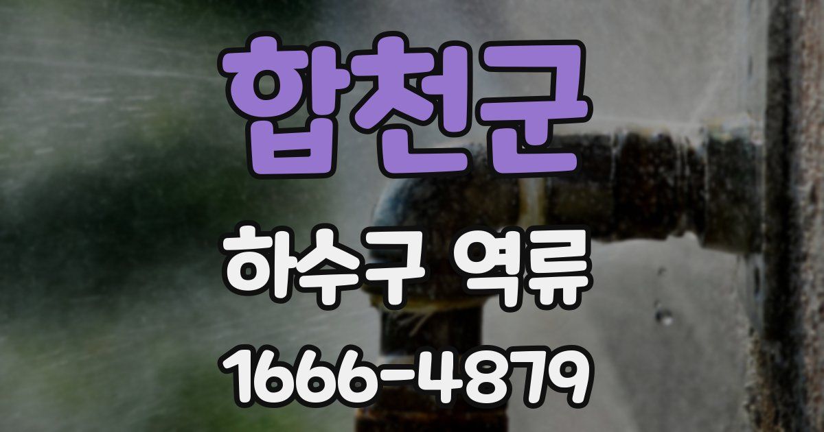 합천군 하수구 역류