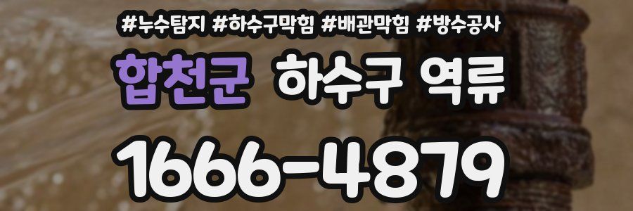 합천군 하수구 역류