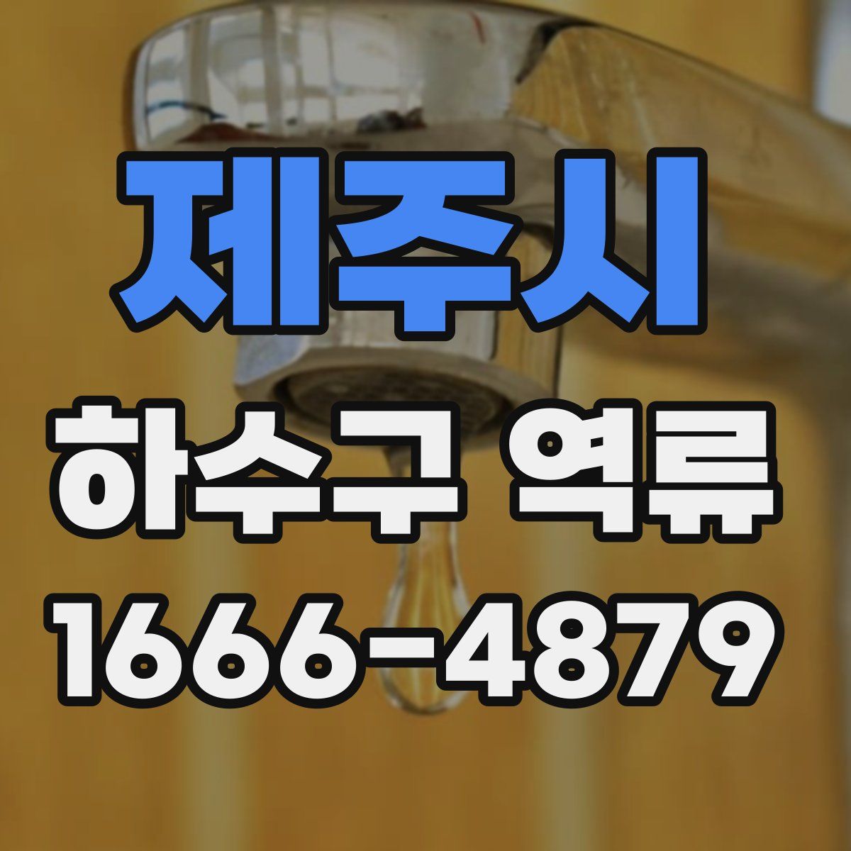 제주시 하수구 역류
