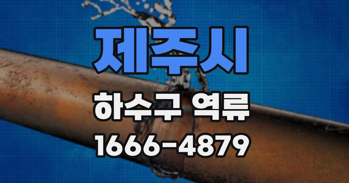 제주시 하수구 역류