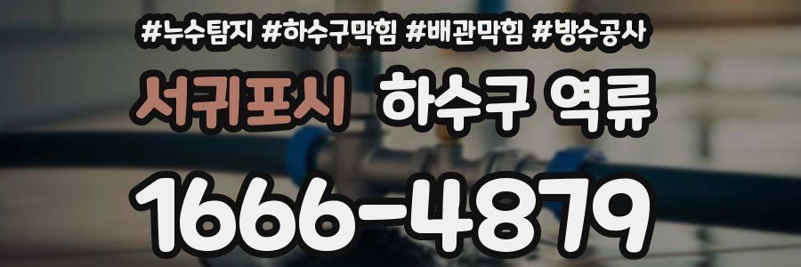 서귀포시 하수구 역류