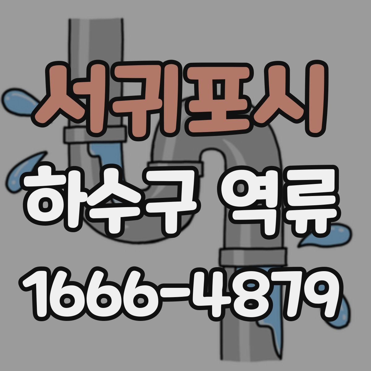 서귀포시 하수구 역류