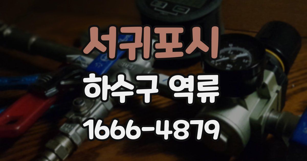 서귀포시 하수구 역류