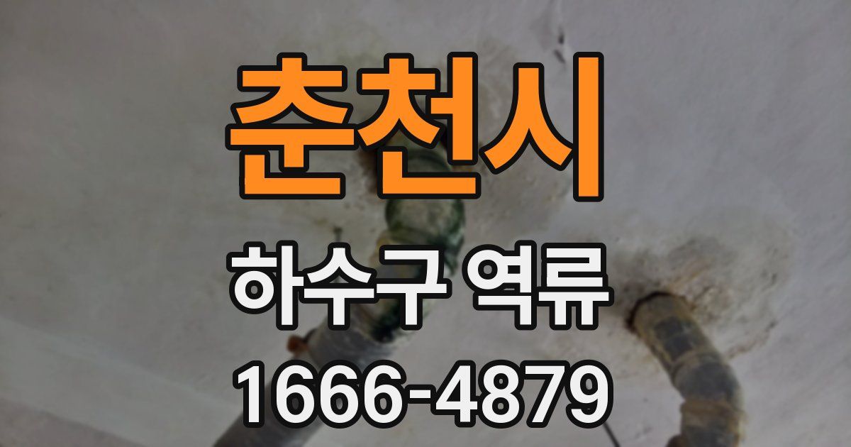 춘천시 하수구 역류