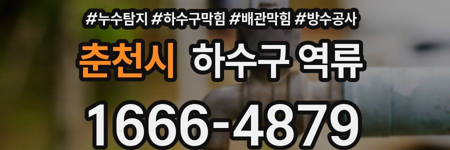 춘천시 하수구 역류