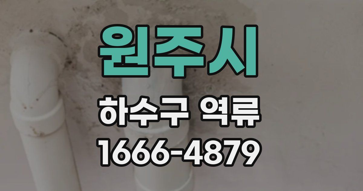 원주시 하수구 역류