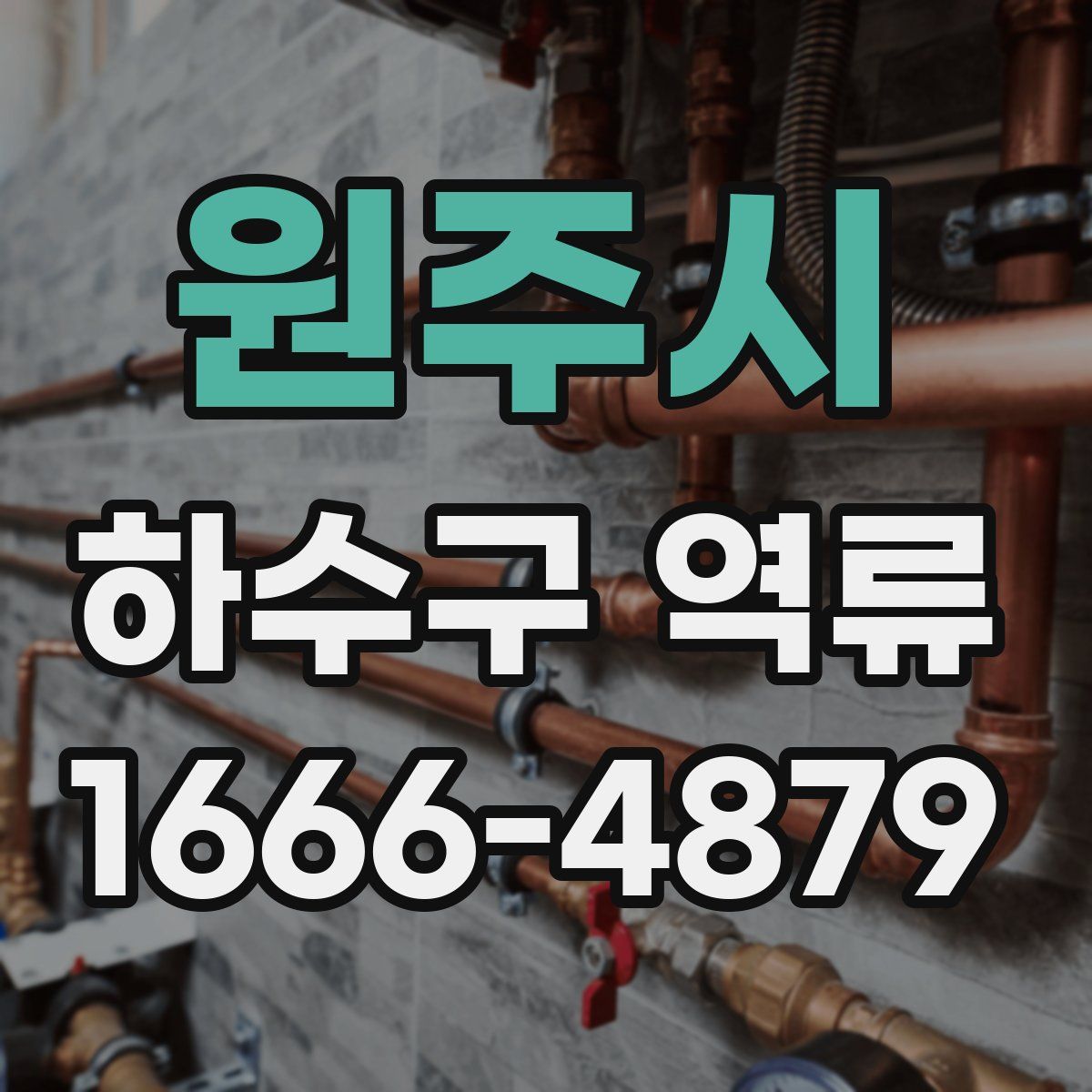 원주시 하수구 역류