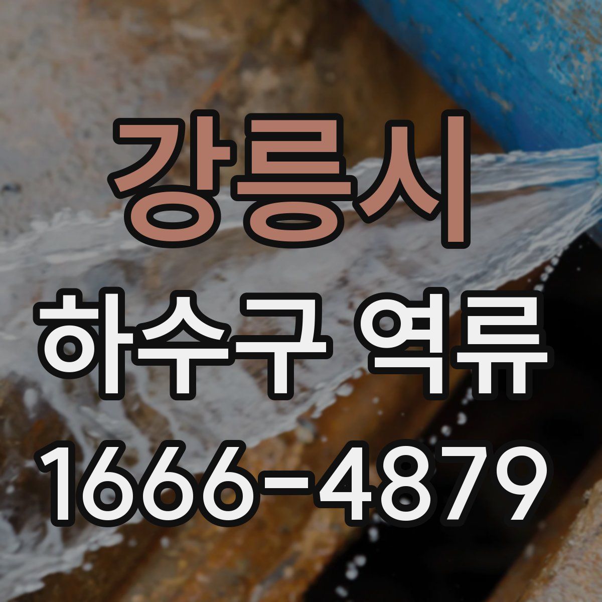 강릉시 하수구 역류