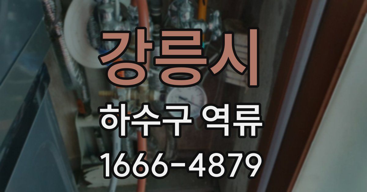 강릉시 하수구 역류