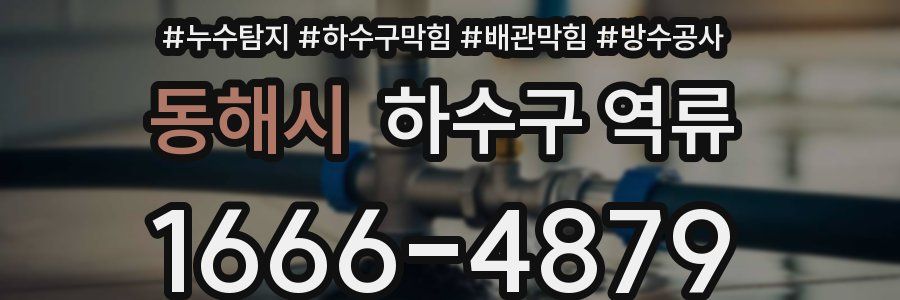 동해시 하수구 역류