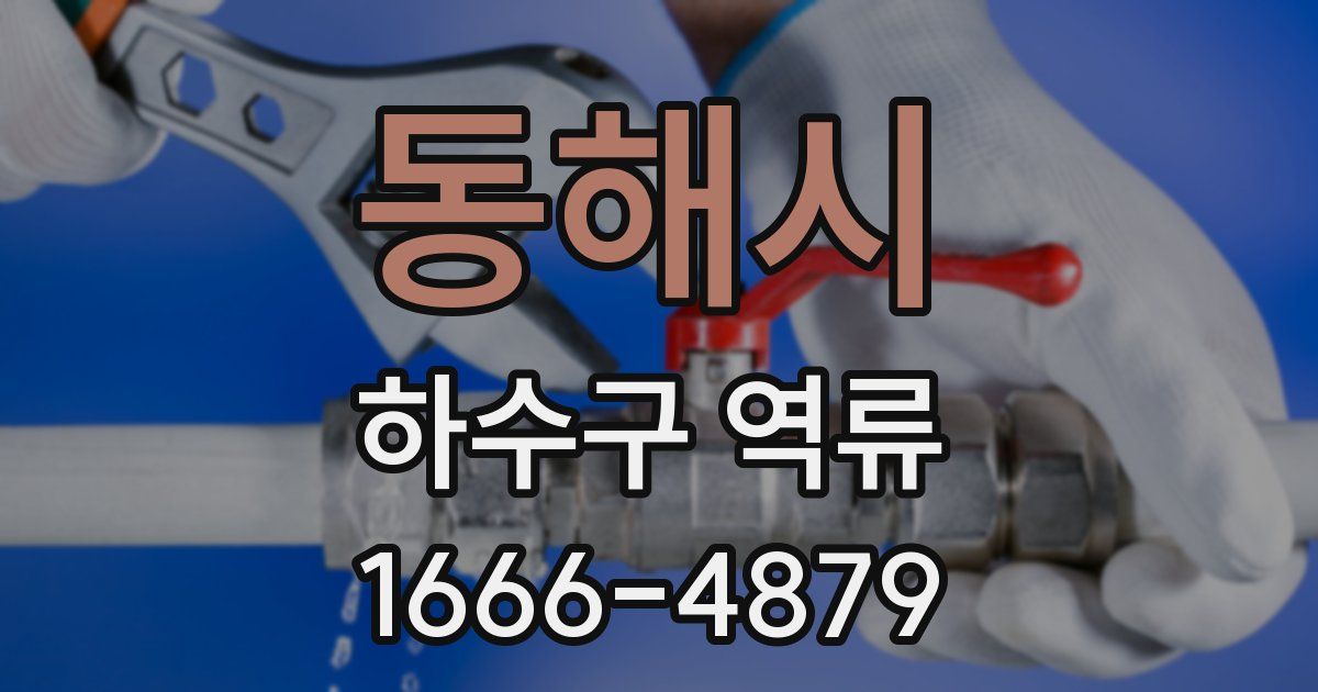 동해시 하수구 역류