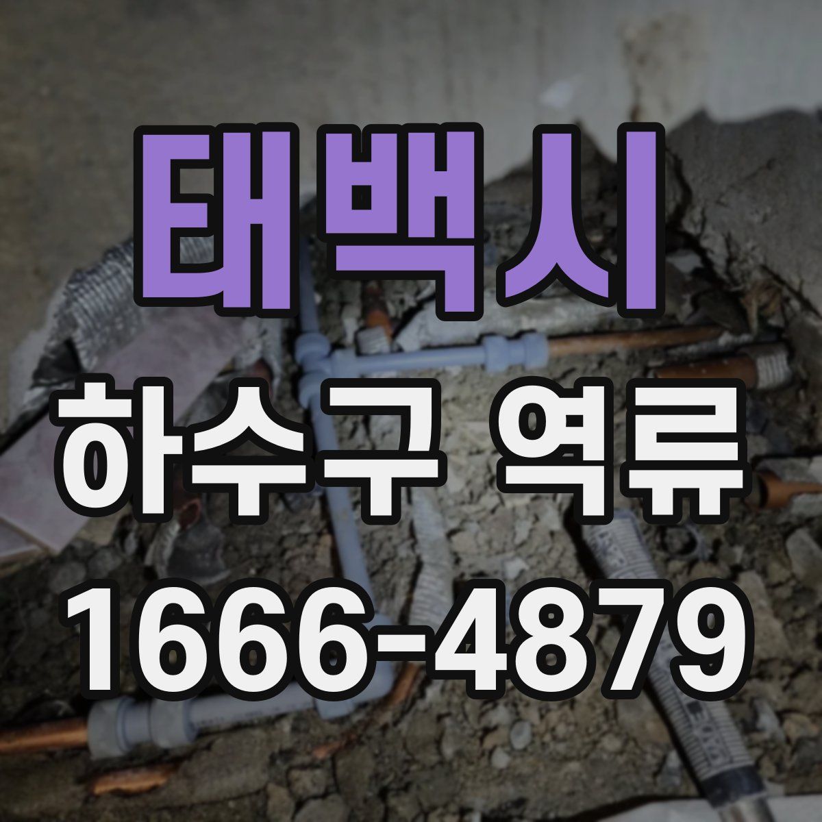 태백시 하수구 역류