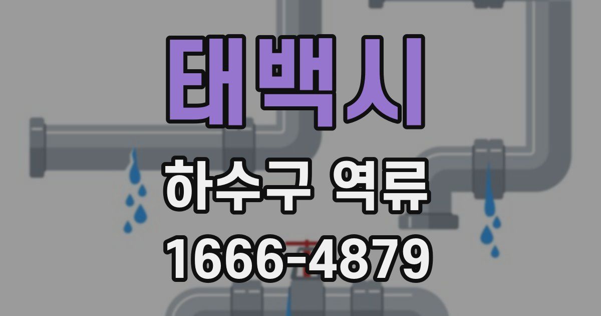 태백시 하수구 역류