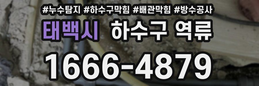 태백시 하수구 역류