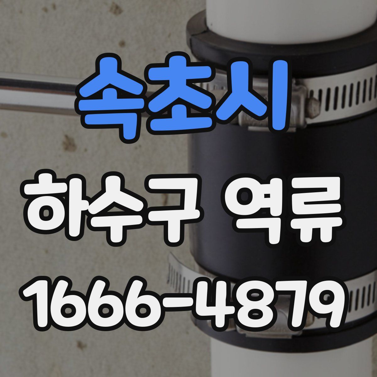 속초시 하수구 역류