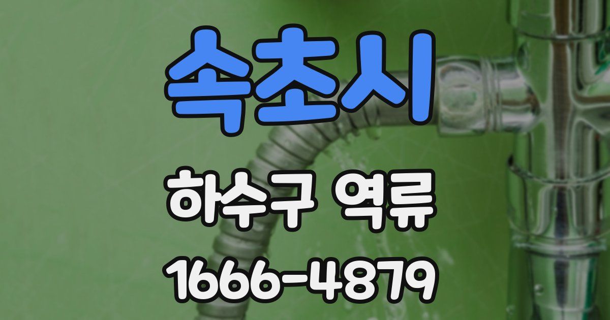 속초시 하수구 역류