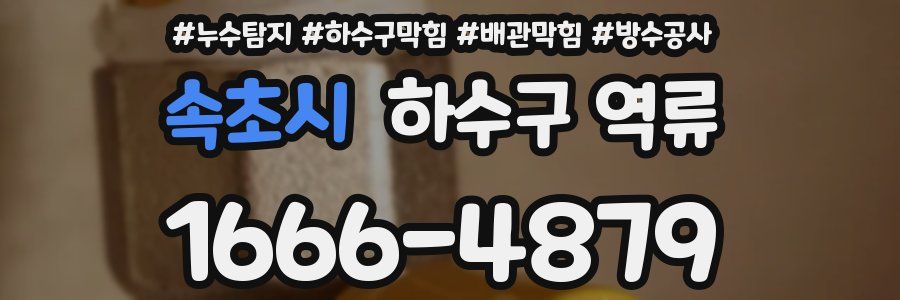 속초시 하수구 역류