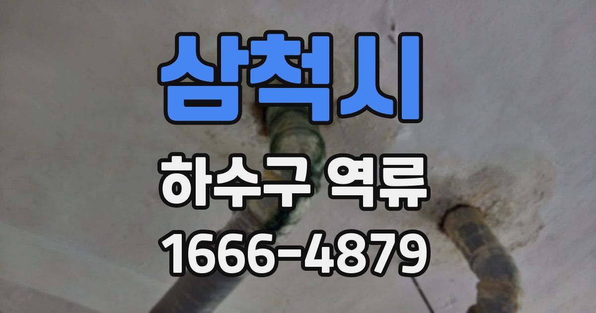 삼척시 하수구 역류