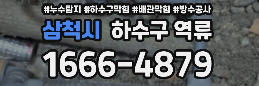 삼척시 하수구 역류