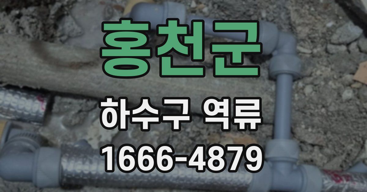 홍천군 하수구 역류