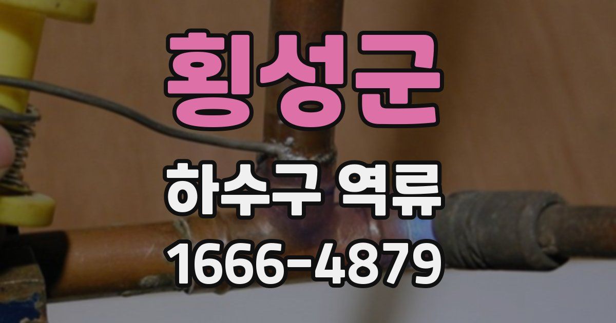 횡성군 하수구 역류