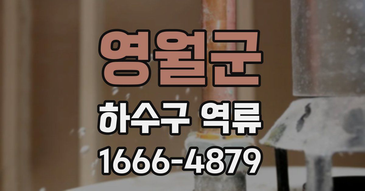 영월군 하수구 역류