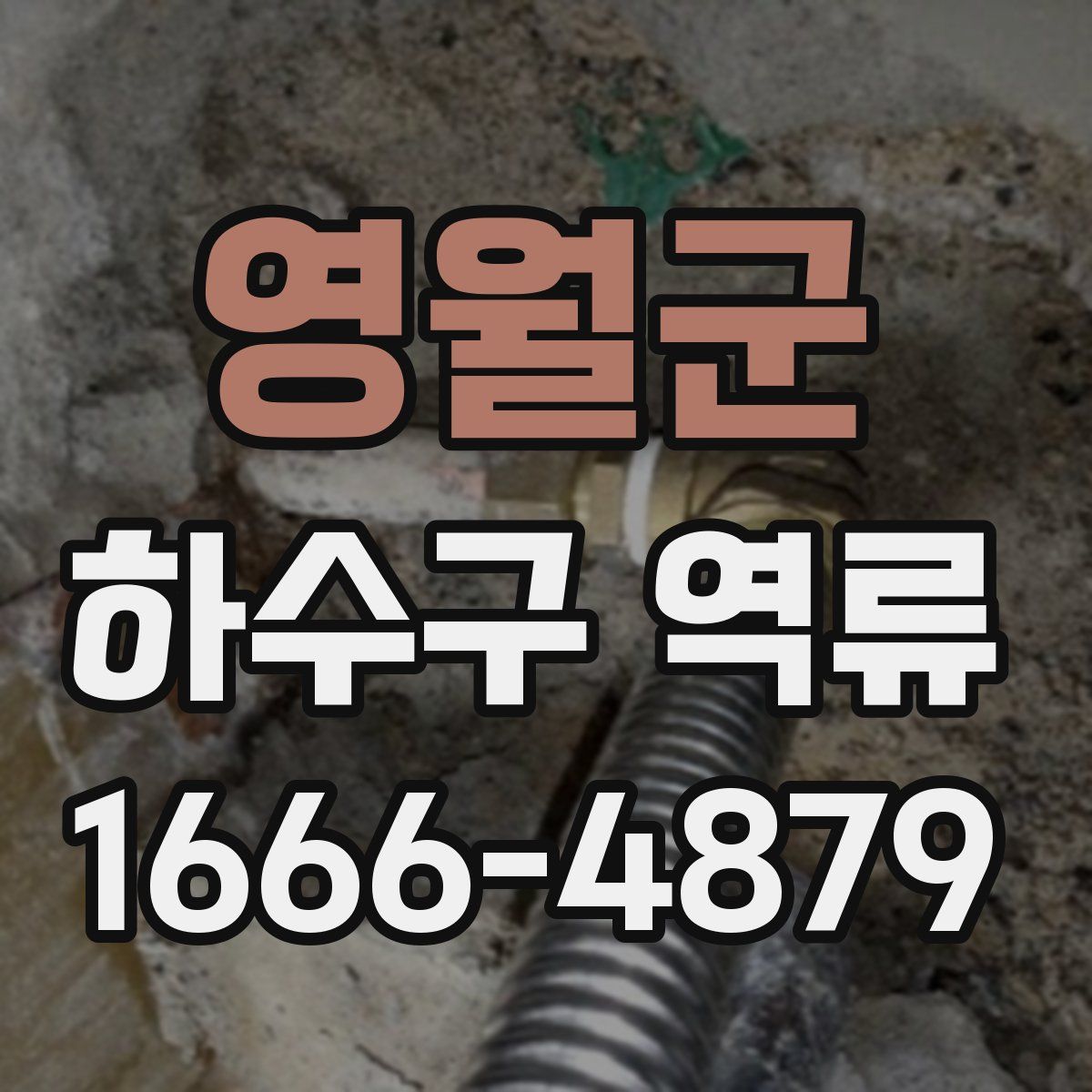 영월군 하수구 역류