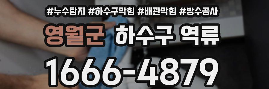 영월군 하수구 역류