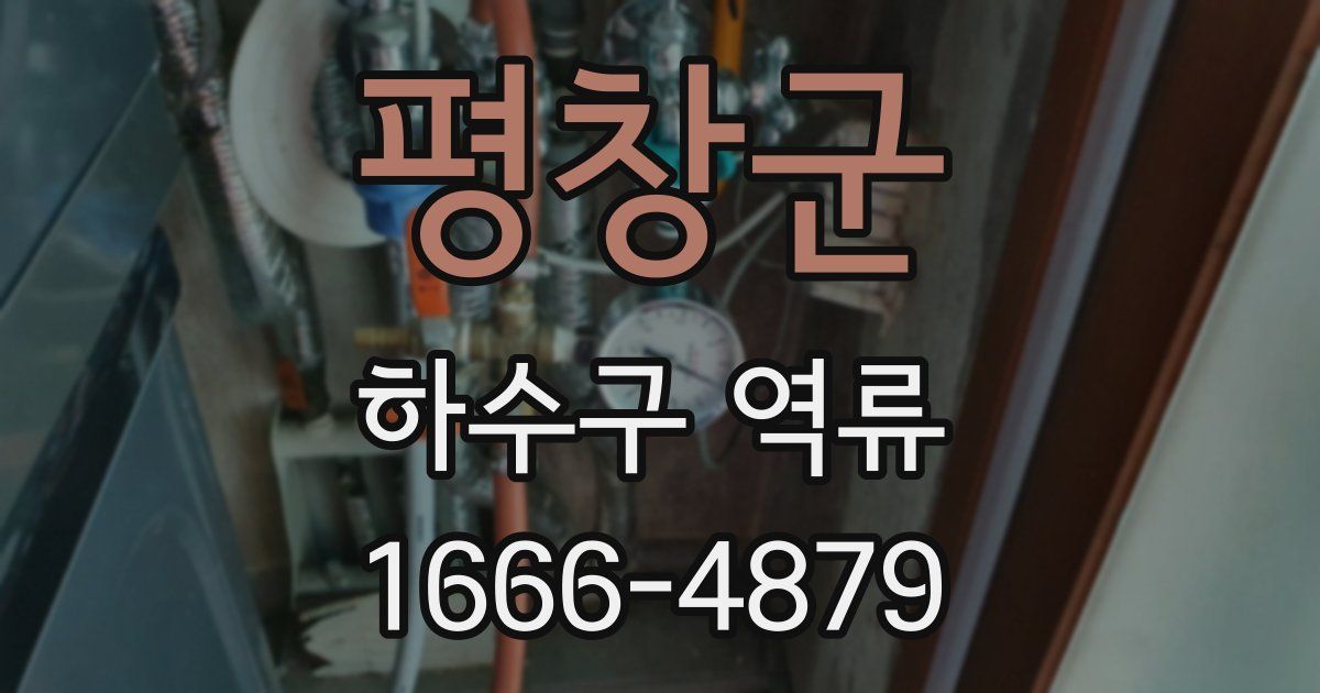 평창군 하수구 역류