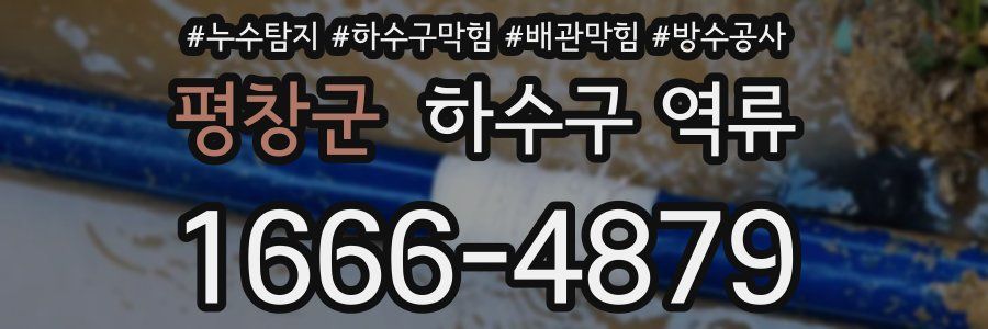 평창군 하수구 역류