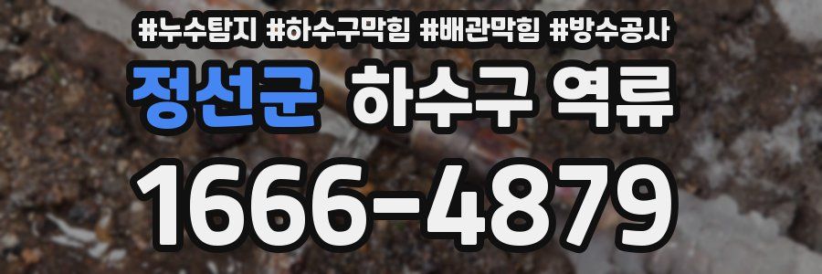 정선군 하수구 역류