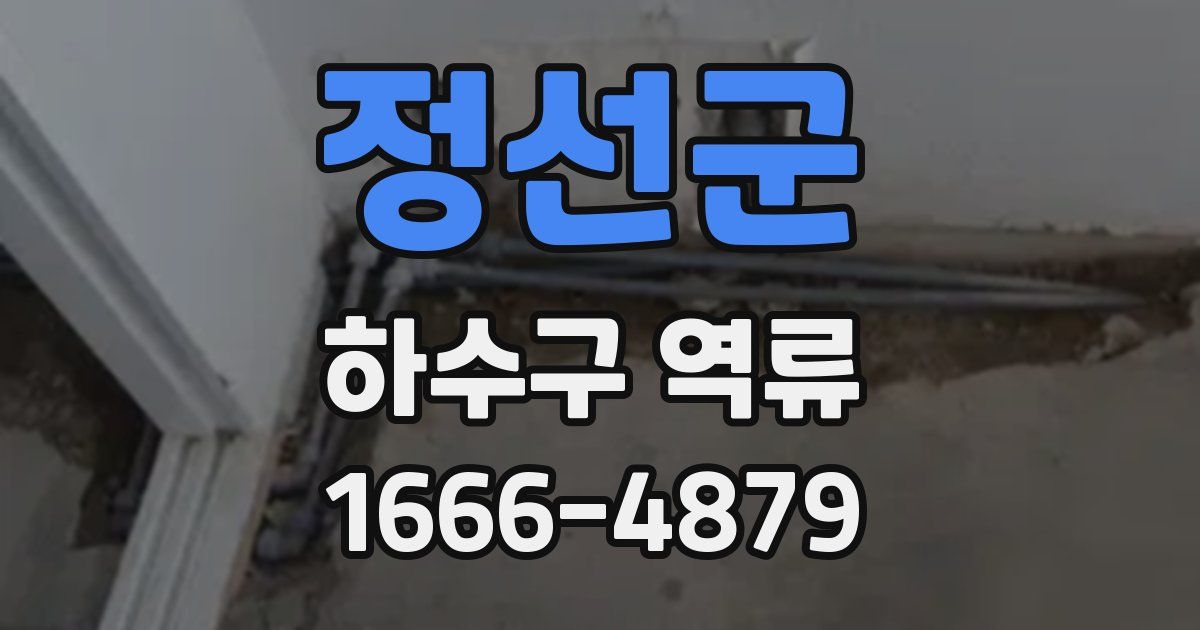 정선군 하수구 역류