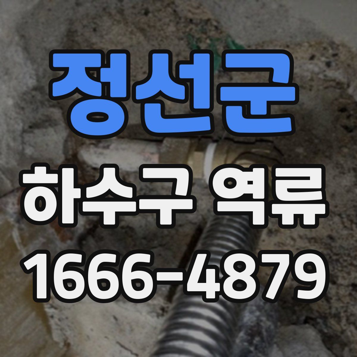 정선군 하수구 역류