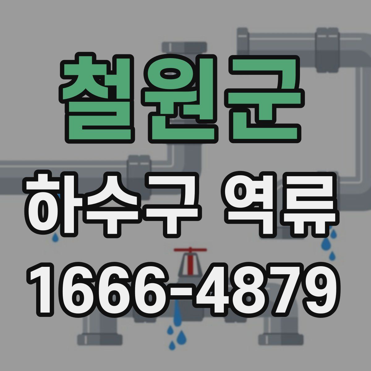 철원군 하수구 역류