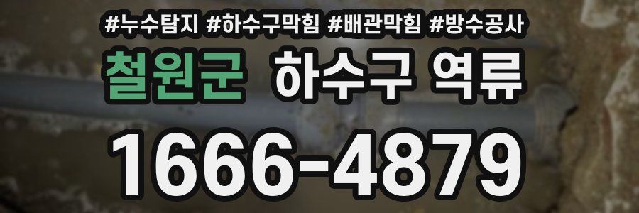 철원군 하수구 역류